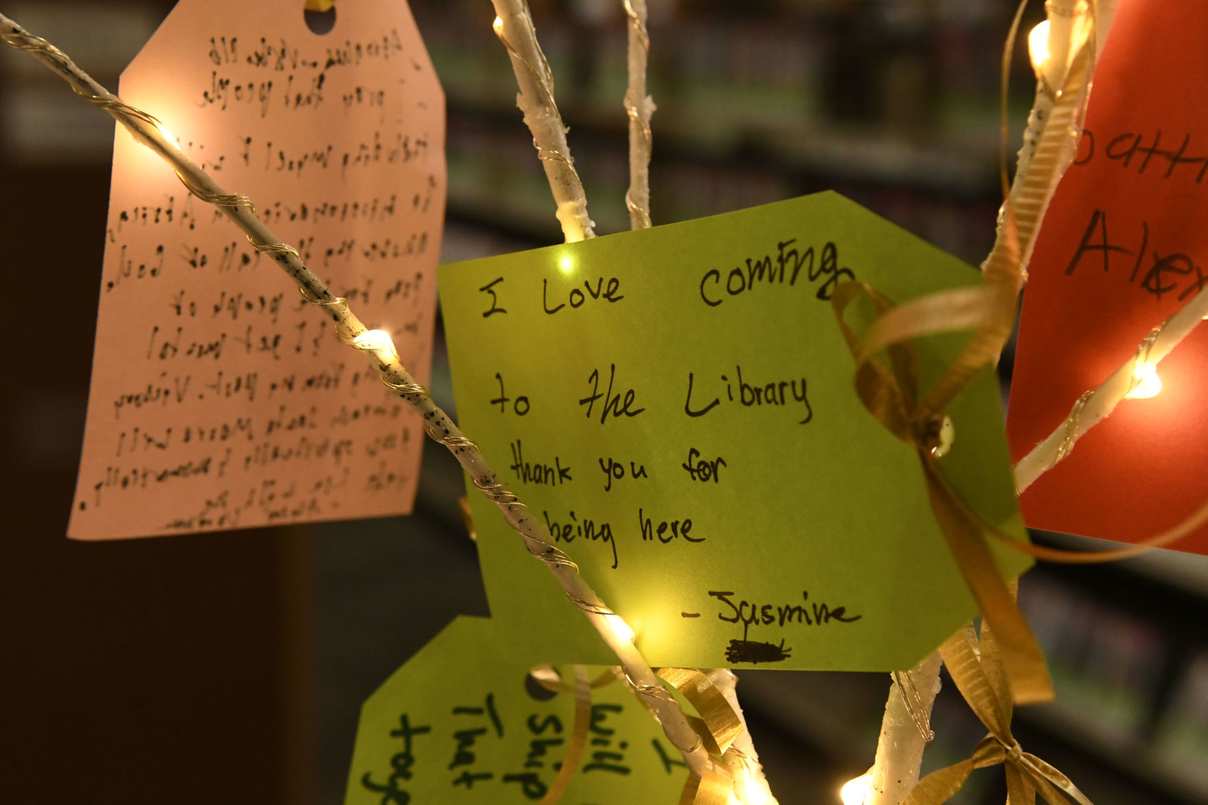 120219 Wishing trees 06.jpg